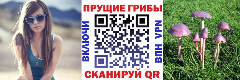 Галлюциногенные грибы мухоморы дарнет шоп Балашов